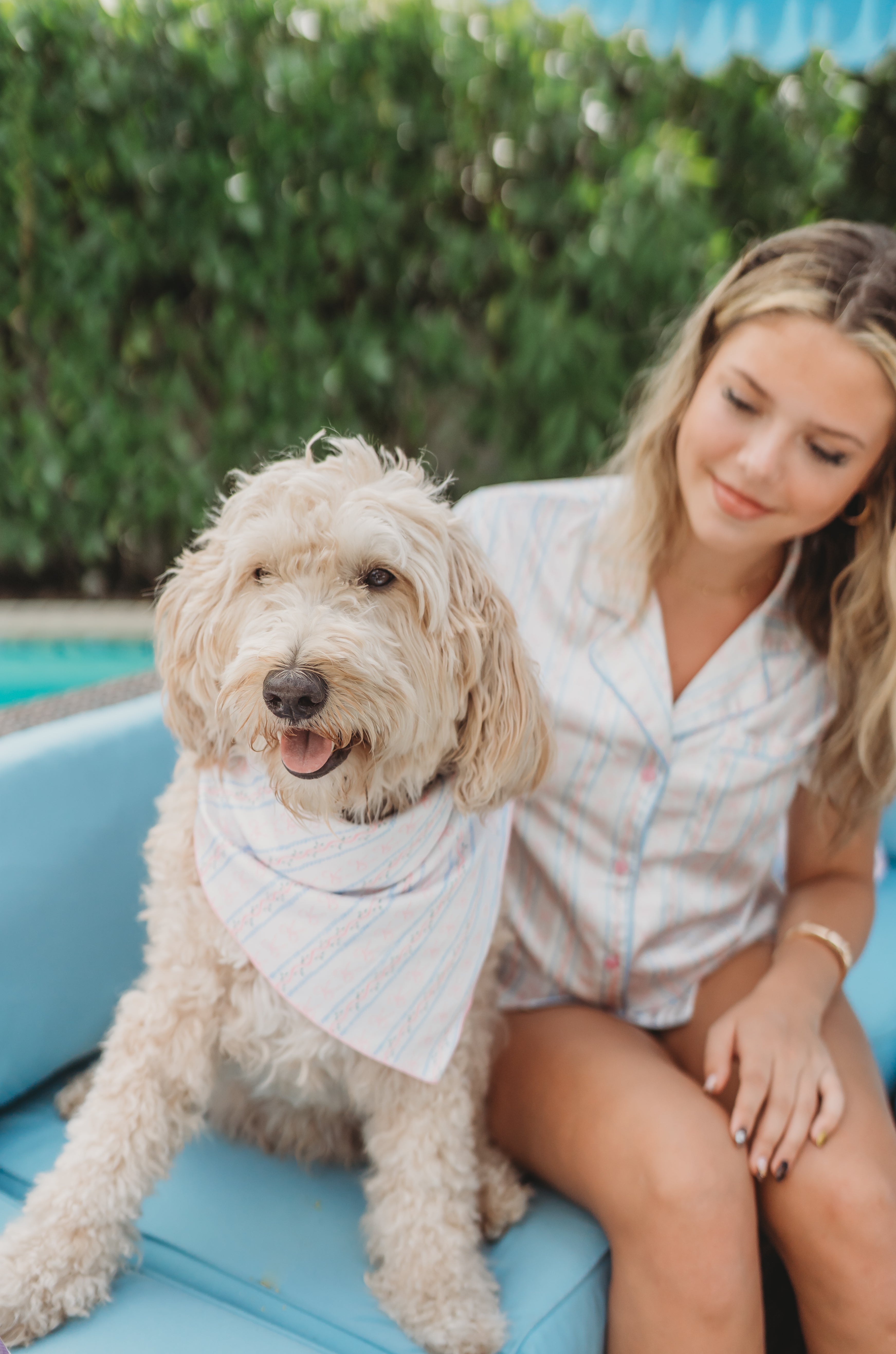 Reversible Pet Bandana