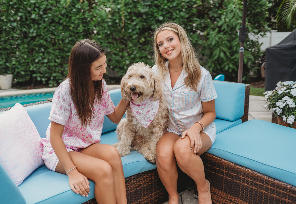 Reversible Pet Bandana